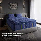 HANNA & YANNA Queen Mattress 14 Inch, Queen Size Mattresses in a Box Hybrid Medium Feel Memory Foam and Individual Pocket Springs, Fiberglass Free Bed Matress CertiPUR-US, 80"x60"
