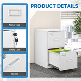 BYNSOE 2 Drawer File Cabinet with Lock Vertical Filing Storage Office Home Steel Vertical File Cabinets for Letter Size File Cabinet Locked,Assembly Required