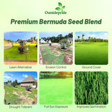 Outsidepride Oasis Bermuda Grass Seed - 50 lbs Warm Season, High Traffic, Heat Resistant, Drought-Tolerant, Low-Maintenance, Fast Growing Turf Grass for Lawn, Ideal for Sunny Areas, Thick Coverage