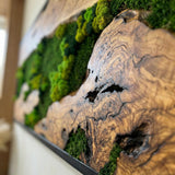 MIODUO DECOR Handmade Moss Wall Art with Natural Wood Frame, Preserved Reindeer Moss Vertical Garden, Maintenance-Free Biophilic Greenery Wall Panel - 24"x60"