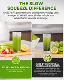 Juicer Machines - AMZCHEF Cold Press Masticating Juicer whole Fruit and Vegetable - Delicate Chew No Need to Filter - BPA Free Juice Extractor with 2 Cups and Brush- Pear White