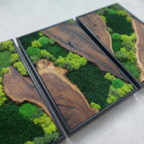 Moss Wall Decor Preserved Moss Art in Solid Cedar Wood Frame | Natural Wooden Wall Decor for Living Room, Office, Home | Zero Maintenance Gift for Nature Lovers 3 Pieces