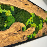 MIODUO DECOR Handmade Moss Wall Art with Natural Wood Frame, Preserved Reindeer Moss Vertical Garden, Maintenance-Free Biophilic Greenery Wall Panel - 20"x48"