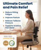 Everlasting Comfort Doctor Recommended Memory Foam Seat Cushion for Office Chairs & Car - Ergonomic Office Desk Accessories - Cushions for Tailbone Pain Relief, Sciatica (Black Airflow Lumbar, Large)