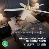 60 Inch White Ceiling Fan with Light, Gold Brass Finish,5 Solid Wood Blades