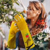 FEISHDEK Medium Size - 2 Pairs Cactus Gloves Gardening Thorn Proof Ladies, Women Garden Gloves