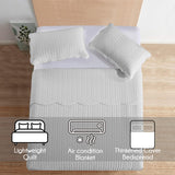 MOONLIGHT20015 Queen Quilt Bedding Set (90" x 96") - Bulk Pack of 10 Wholesale for Hotels, Guest Bedroom & Airbnbs - Lightweight Microfiber Reversible Embossed Quilts Bedspreads (Silver)