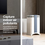 IQAir GC MultiGas XE Air Purifier - 3-Pack – Smart MultiGas Filtration for Spaces up to 3375 sq ft - Chemicals, Odors, VOCs, and Particles, Swiss Made, WiFi Enabled