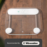 Greater Goods AccuCheck Digital Scale for Body Weight - Accurate Digital Bathroom Scale with High-Precision Sensors, Large Easy-to-Read Backlit Display, 400 lb Capacity, Auto Step-On (Clear)