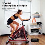 EFITMENT Magnetic Exercise Bike, Ultra-Stable Stationary Bike with Quiet Belt Drive, Indoor Cycling Bike for Home Cardio Workout, LCD Monitor IC014