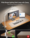 LitONES Video Conference Lighting for Computer, Zoom, Video Recording,White
