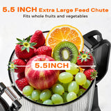 Cold Press Juicer, 5.5inch Wide Feed Chute Juicer Machine, Slow Masticating Juicer for Whole Vegetables & Fruits, Gray