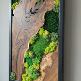 Wood and Moss Wall Art, Single Panel Natural Greenery Decor for Small Spaces, Rustic Framed Forest Wall Hanging, Maintenance-Free Biophilic Art