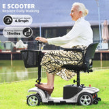 SUNDERWELL Mobility Scooters for Seniors & Adults, Compact Foldable Mobility Scooter with Tool-Free Disassembly, 15 Miles Electric Powered Mobility Scooters with 300 lb Capacity & USB Port (Silver)