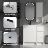 Pluriton 36'' Freestanding Bathroom Vanity with Sink, Bathroom Sink Vanity