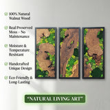 Set of 3 Wood and Moss Wall Art, Large Natural Greenery Statement Decor, Rustic Framed Forest Panels for Bedroom, Biophilic Gallery Wall Display