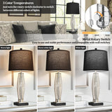 QiMH Table Lamps Set of 2, Bedroom Lamp with USB A+C Charging Ports, Modern Glass Beside Lamps for Living Room Rotary Switches, Black Nightstand Lamp Home Lights Decor (LED Bulbs Included)