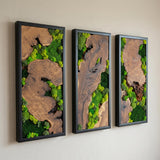 Set of 2 Wood and Moss Wall Art, Symmetrical Natural Greenery Decor for Living Room, Rustic Framed Forest Panels, Modern Organic Accent Pieces