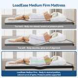 Mattress Queen Size, 14 Inch Queen Hybrid Mattress in a Box, Memory Foam with Firm Individually Wrapped Pocket Springs, Pressure Relief & Motion Isolation, CertiPUR-US Certified, 60" x 80" x 14"