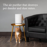 Molekule Air Purifier Mini+ - Purifies Rooms Up to 250 Sq Ft - Smart Purifier with High Pollutant Capture Rate - Air Quality Monitoring Capabilities - White