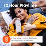 JBL Flip 5 (Black) + Bundle with divvi! Protective Hardshell Case JBL