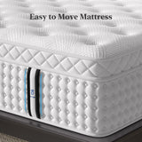 BedStory Upgrade 14 Inch Firm King Size Mattress, Luxury Hybrid Mattress in a Box for Zoned Pressure and Pain Relief, Signature Collection Deep Sleep Mattresses, 10 Years Warranty,365 Nights Trial