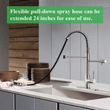 PAKING Kitchen Sink Faucet, Pull-Down Water Filtration Faucet, Bar Filter, Brushed Nickel, Stainless Steel, PB1017