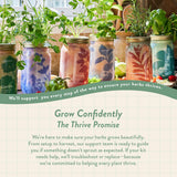 Modern Sprout Mason Jar Herb Garden Kit Indoor