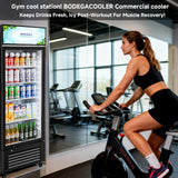 BODEGACOOLER Beverage Refrigerator and Cooler, 10.0 Cu. Ft Commercial Refrigerators For Man Cave, Display Refrigerator with Soft LED Light