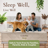 COTTON SLEEP All Natural Mattress (100% Organic Cotton, & Wool, Made in The USA) Non Toxic, Fiberglass Free Hybrid Pocket Coil and Plush Foam Bed in A Box Medium Soft - Twin, 13"