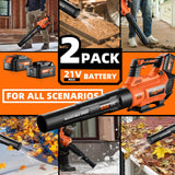Decerk 21V Leaf Blower Cordless, Electric Snow Blowers with 2X 4.0Ah Battery, Lightweight Blower with Turbo Button, Variable Speed Dial, and Cruise Control for Sidewalks, Garages, Yards & Patios