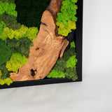 Handmade Preserved Moss Wall Art with Solid Cedar Wood Frame, 100% Real Moss Wall Decor, Maintenance-Free Greenery Art for Modern Office & Home, Unique Vertical Nature Art Gift 1 Piece, 24" x 60"