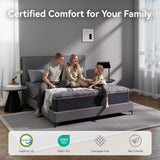 Nordhive 14 Inch Queen Mattress, Charcoal Cooling Gel Memory Foam, Green Tea Support Foam, Medium Feel, Support Couples & Hot Sleepers, Motion Isolation for Sleep, Queen Bed in a Box