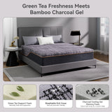 Nordhive 12 Inch Queen Mattress, Charcoal Cooling Gel Memory Foam, Green Tea Support Foam, Medium Firm Feel, Support for Couples and Warm Sleepers, Motion Isolation, Queen Bed in a Box