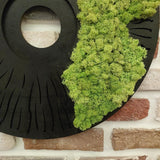 Round Moss Wall Art Set of 3 Preserved Moss Decor on Solid Wood Base Natural Wooden Wall Decor for Living Room Office Home Zero Maintenance Botanical Art