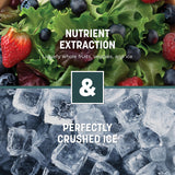 Ninja Blender | Nutri Pro | Auto IQ Blend | Smoothies, Shakes, Frozen Drinks, Salsa, Dips | Includes (2) 24 oz. To-Go Cups & Spout Lids | Crushes Ice, Fruit & Veggies |1100 Peak Watt | Silver | BN401