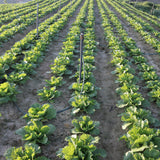 Cordless Tiller for Gardening 360 RPM Rototiller TH4000 Cultivator TaskStar Electric Garden Tiller Battery Powered Total 4000mAh