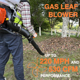 PROYAMA 51.7cc 3 in 1 Gas Powered Sprayer, 3.7 Gallon Backpack Turbo Pump Mist Duster Mosquito Fogger, Vibration-Damping Harness Leaf Blower with ‌Auto-Lock Handle for Garden Spraying