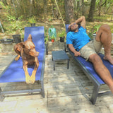 PURPLE LEAF Patio Chaise Lounge with Wheels, Fade-Resistant, Navy
