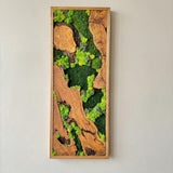 Preserved Moss Wall Art - Natural Green Decor with Wood Frame Modern Nature Wall Hanging for Home and Office - 16"x32"