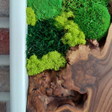 White Framed Moss Wall Art, Vertical Cedar Wood & Preserved Greenery Modern Natural Wall Decor for Living Room, Office & Home, Zero Maintenance Handcrafted Gift 47" x 16"