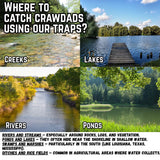 2 Pack - Crawfish Trap Crawdads Crayfish Trap Torpedo Heavy Duty Bait Trap Steel Mesh Wire Black with Clip Two-Piece Durable (2 Pack)