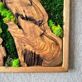Preserved Moss Wall Art - Natural Green Decor with Wood Frame Modern Nature Wall Hanging for Home and Office - 20"x39"