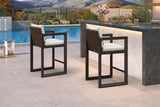 PURPLE LEAF Outdoor Counter Stool Set of 2 Modern Aluminum Stool, Bronze