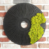 Round Moss Wall Art 33 inch Preserved Moss Decor on Solid Wood Base Natural Wooden Wall Decor for Living Room Office Home Zero Maintenance Botanical Art