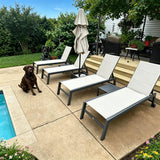 PURPLE LEAF Pool Lounge Chairs Set of 2 with Sponge, Easy Move, Beige