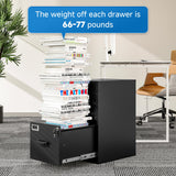 BYNSOE 2 Drawer File Cabinet with Lock Vertical Filing Storage Cabinet Office Home Steel Vertical File Cabinets for Letter Size File Cabinet Locked,Assembly Required