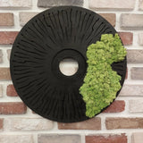 Round Moss Wall Art Set of 3 Preserved Moss Decor on Solid Wood Base Natural Wooden Wall Decor for Living Room Office Home Zero Maintenance Botanical Art