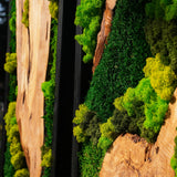 Handmade Preserved Moss Wall Art with Solid Cedar Wood Frame, 100% Real Moss Wall Decor, Maintenance-Free Greenery Art for Modern Office & Home, Unique Vertical Nature Art Gift 1 Piece, 14" x 30"