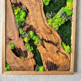 Preserved Moss Wall Art - Natural Green Decor with Wood Frame Modern Nature Wall Hanging for Home and Office - 16"x32"